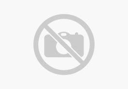 Audi Q3 35 2.0 TDI S-tronic +AHK+NAVI+PDC+SHZ+CLIMATR